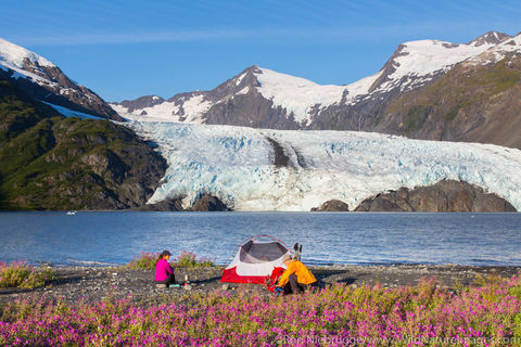 Tent Camping