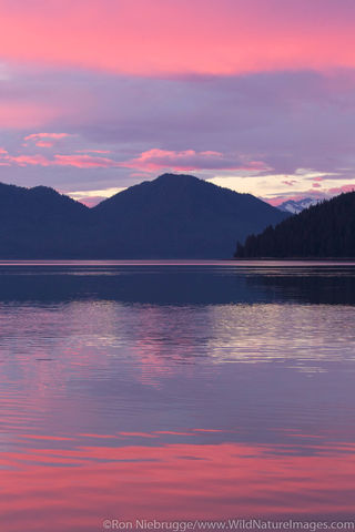 Tongass Sunset