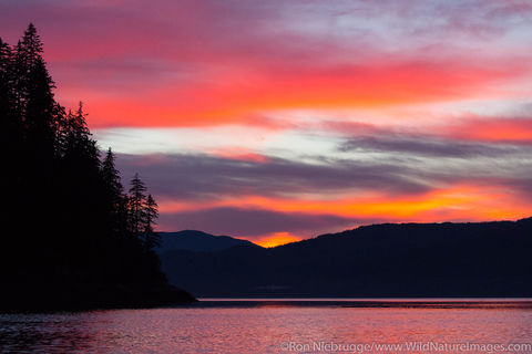 Tongass Sunset