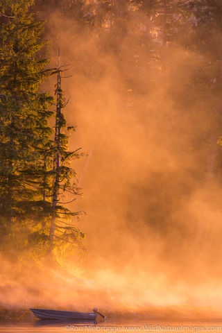 Tongass National Forest