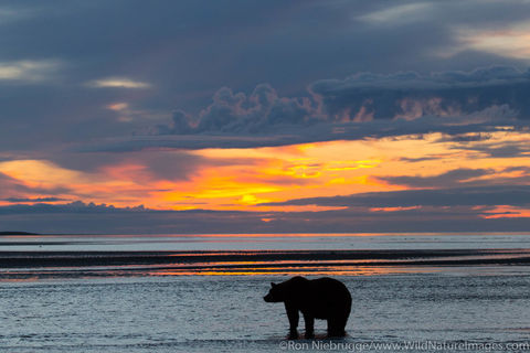 Lake Clark National Park