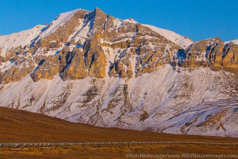 Trans Alaska Pipeline