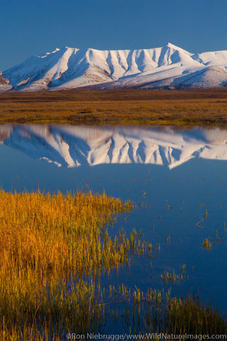 Brooks Range