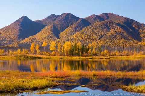 Autumn Landscape