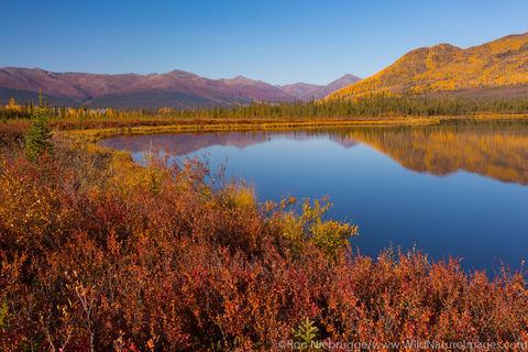 Autumn Landscape