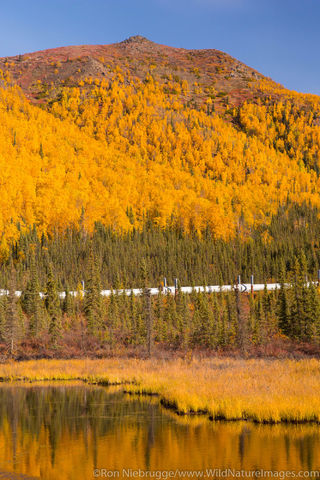 Autumn Landscape