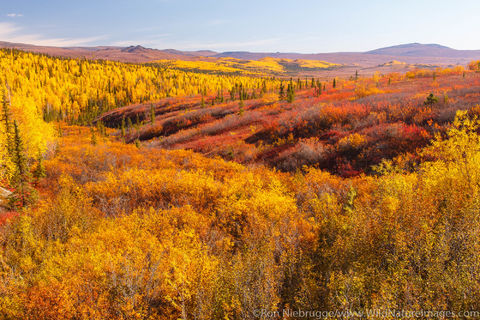 Autumn Landscape