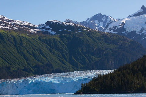 Meares Glacier