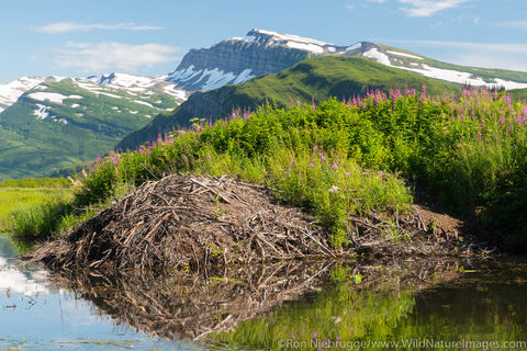 Lake Clark National Park