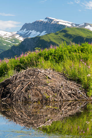 Lake Clark National Park