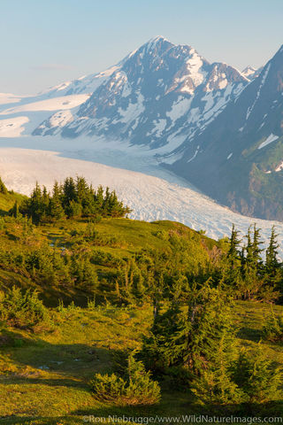 Spencer Glacier