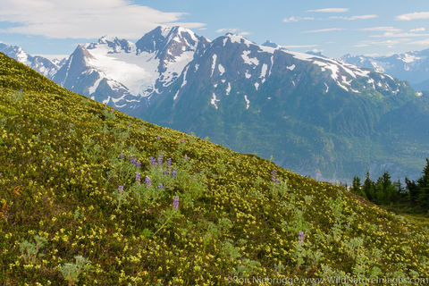Chugach National Forest