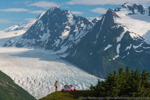 Camping Spencer Glacier Bench