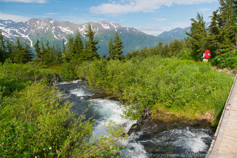 Backpacking on Spencer Glacier Trail