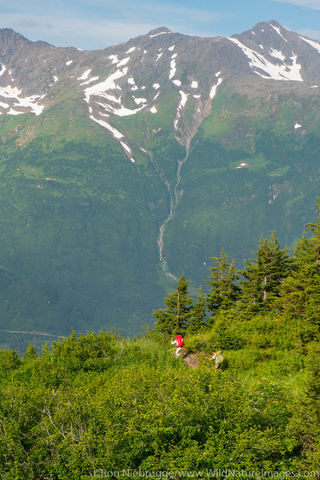 Backpacking on Spencer Glacier Trail
