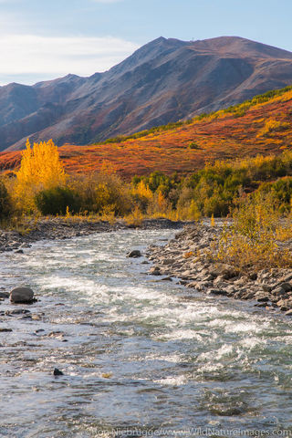 Autumn in Brooks Range