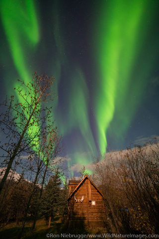 Northern Lights