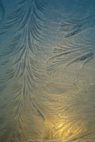 Ice Patterns
