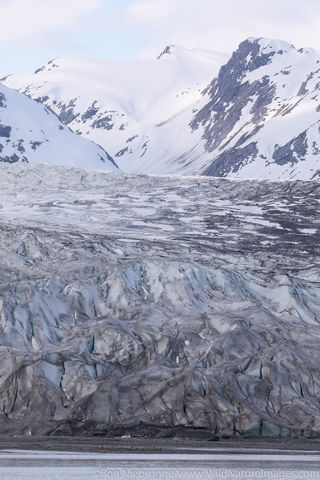 Reid Glacier