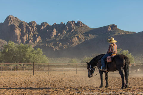 Horseback Riding