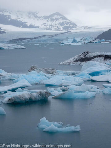 Bear Glacier Lagoon