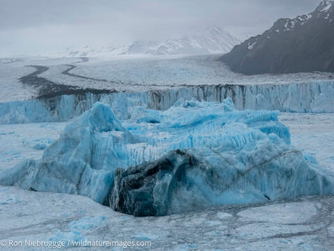 Bear Glacier