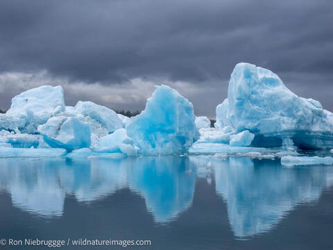Bear Glacier,