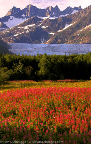 Brotherhood Park, Mendenhall Glacier