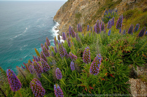 Big Sur Coast