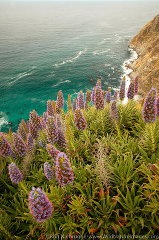 Big Sur Coast