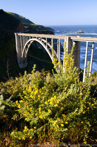 Bixby Bridge