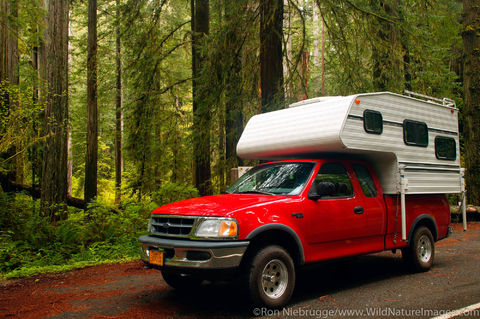 Redwood National Park