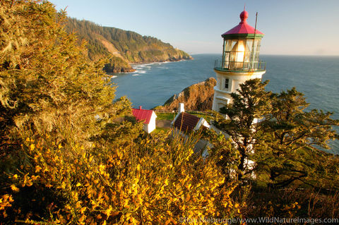 Heceta Head Lighthouse