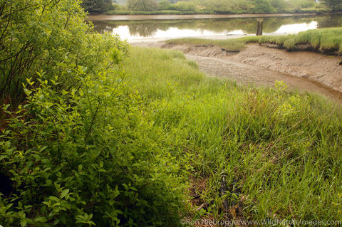 Canoe Landing Lewis & Clark River