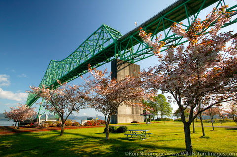 Astoria Bridge