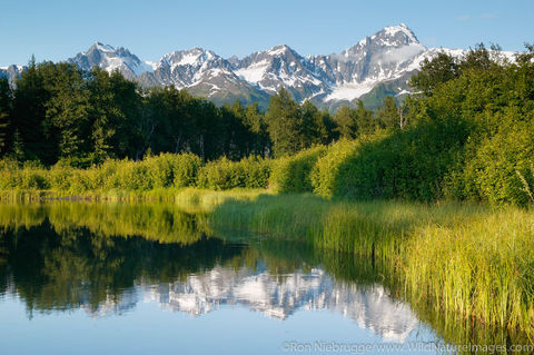 Pond
