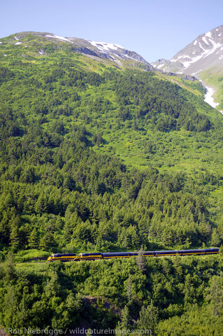 Alaska Railroad
