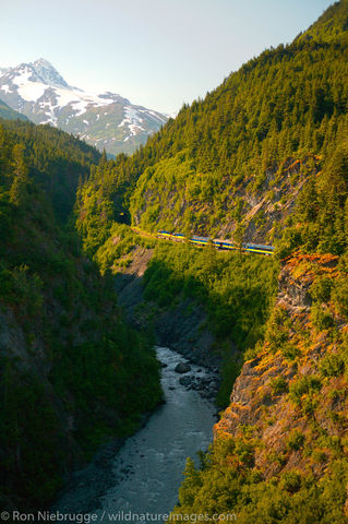 Alaska Railroad