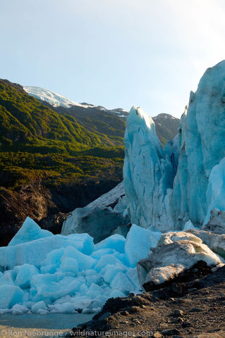 Exit Glacier