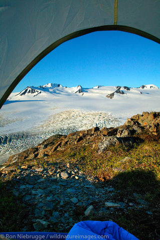 Harding Icefield
