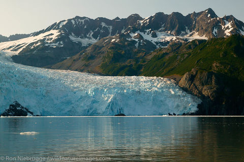 Aialik Glacier 
