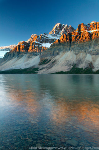 Crowfoot Mountain