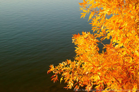Missouri River