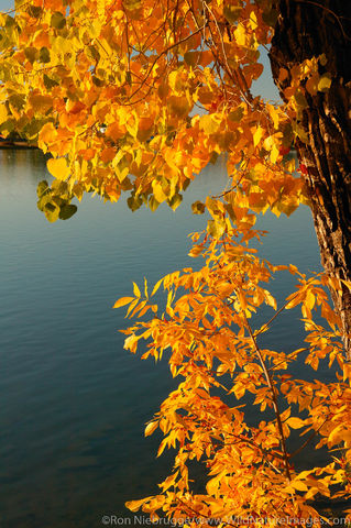 Missouri River