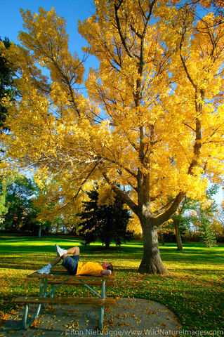 Giant Spring Heritage State Park