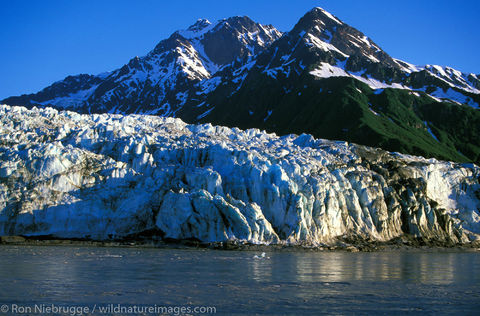 AK, Alaska, Alaskan, Americas, Child's Glacier, Chugach, Chugach National Forest, Copper River, Cordova, National, North America...