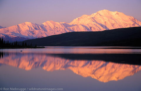 AK, Alaska, Alaskan, Americas, Denali, Denali National Park, Mt McKinley, Mt. McKinley, Mt.McKinley, MtMcKinley, NP, National...