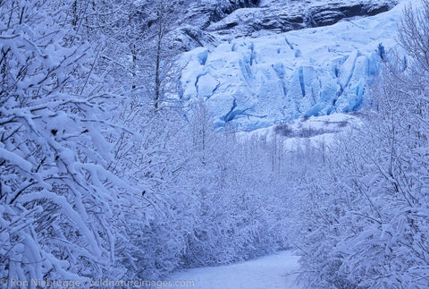 AK, Alaska, America, American, Americas, Exit, Kenai Fjords National Park, Kenai Peninsula, National, Niebrugge, North, North...