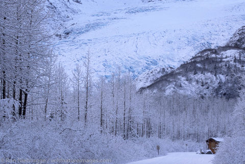 AK, Ak., Alaska, America, American, Americas, Exit, Kenai Fjords National Park, Kenai Peninsula, National, Niebrugge, North...