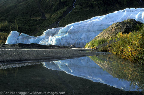 Exit Glacier